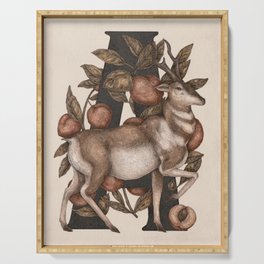 Letter A: Antelope & Apricots Serving Tray