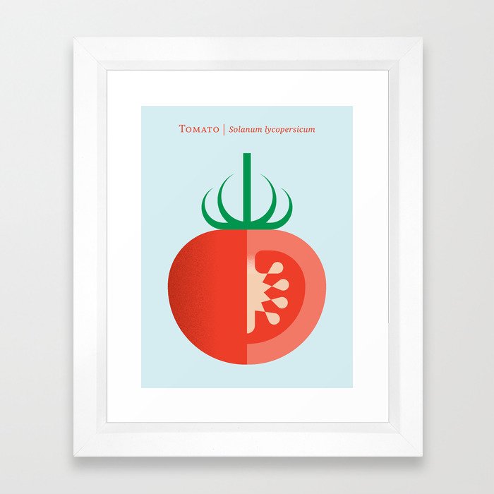 Vegetable: Tomato Framed Art Print