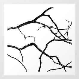 Winter Branches Abstract Nature Photography Art Print