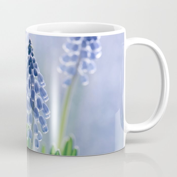 Grape hyacinths muscari 278 Coffee Mug