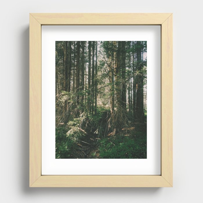 Nordic Woodland  Recessed Framed Print
