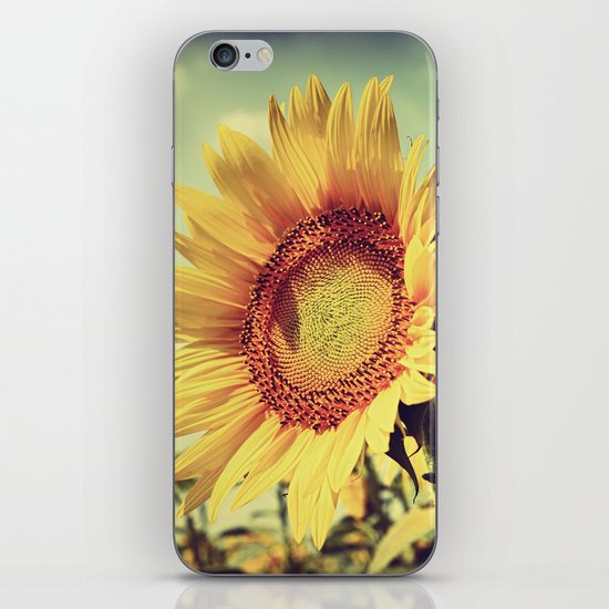 sunflower close up iPhone & iPod Skin