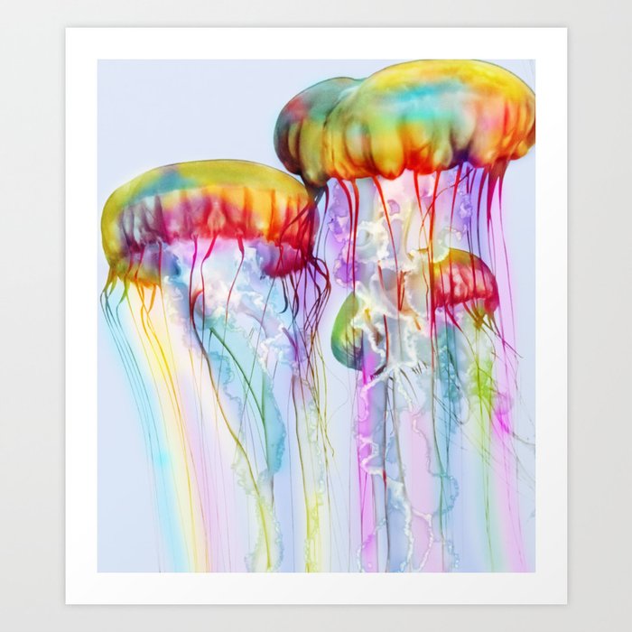 Rainbow Jellyfish Art Print By Diardo Society6