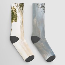 Stormy Day on the Plains - Tree Under Stormy Sky on Spring Day on the Plains of Kansas Socks