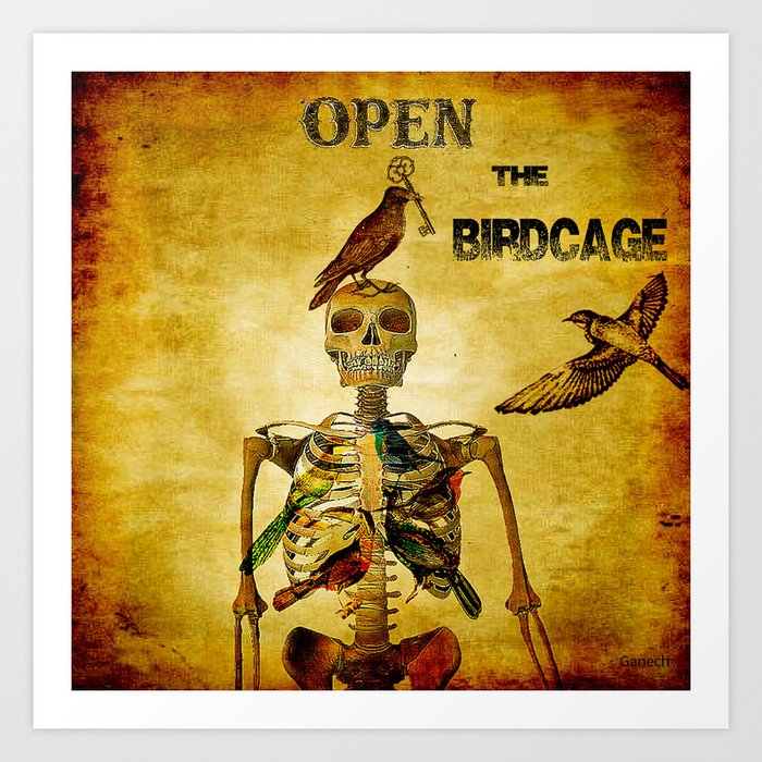 open bird cage art