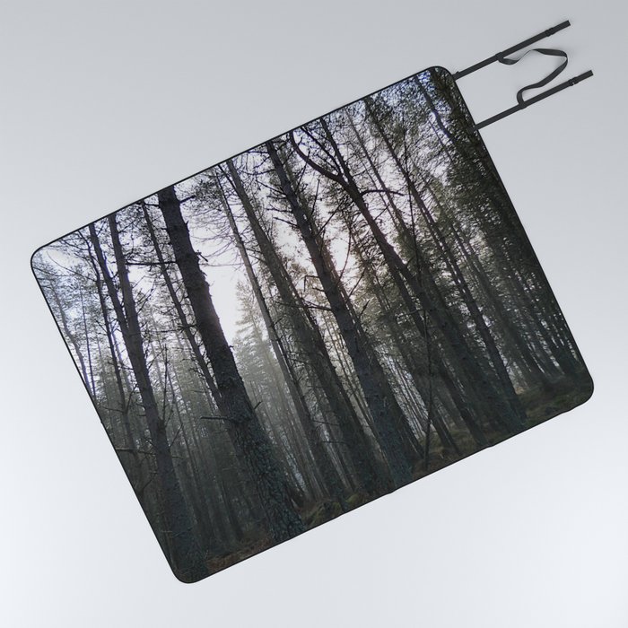 Scottish Highland's Pine Forest Misty Scene in Afterglow  Picnic Blanket