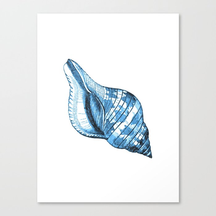 Shell coastal ocean blue watercolor Canvas Print