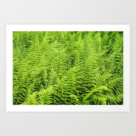 sea of ferns Art Print