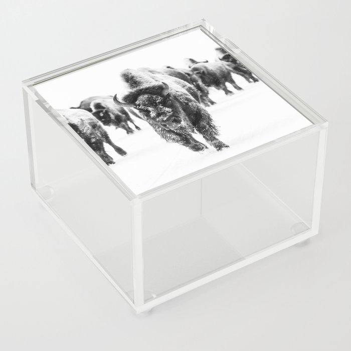 Winter Buffalo x Yellowstone Decor Acrylic Box