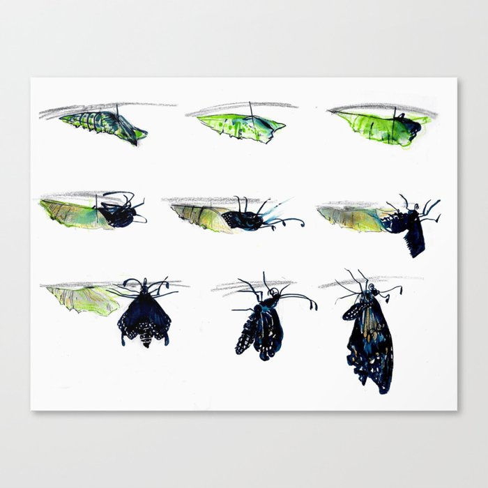 Butterfly Birthday Canvas Print