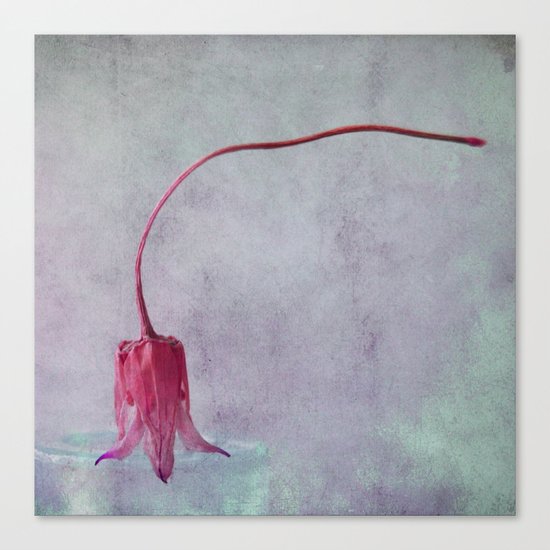 sweet pastell Canvas Print
