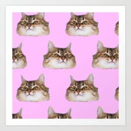Funny cat's  heads on pink Art Print