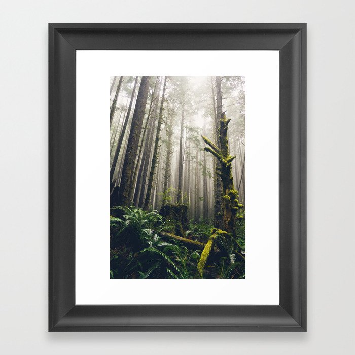 Rainforest Fog Framed Art Print