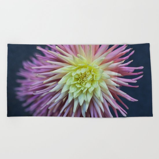 Pink and White Dahlias Beach Towel