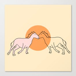 pink pony Canvas Print