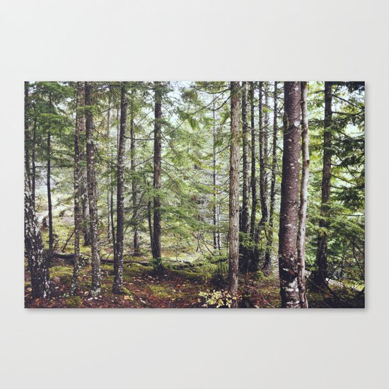 Squamish Forest Floor Canvas Print