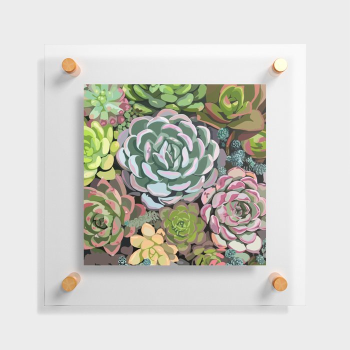 Succulent Garden Floating Acrylic Print