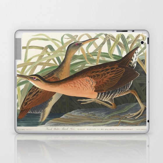 Fresh Water Marsh Hen from Birds of America (1827) by John James Audubon  Laptop & iPad Skin