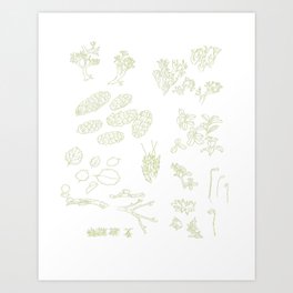 Taiga field drawings Art Print