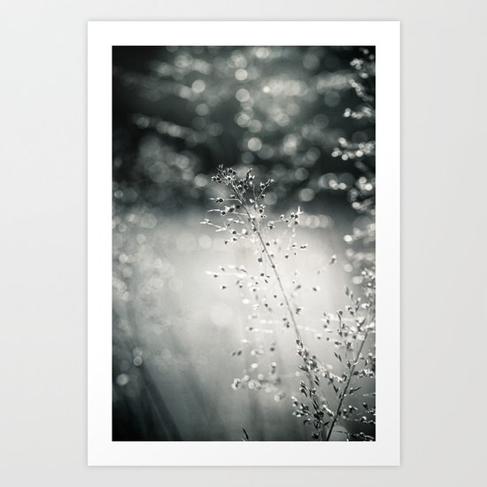 silver rain Art Print