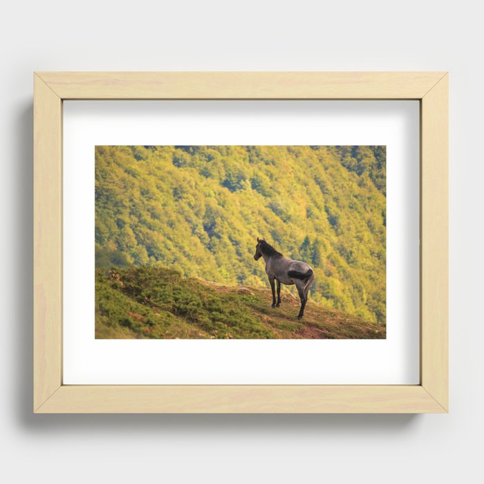 Wild into the wild Recessed Framed Print