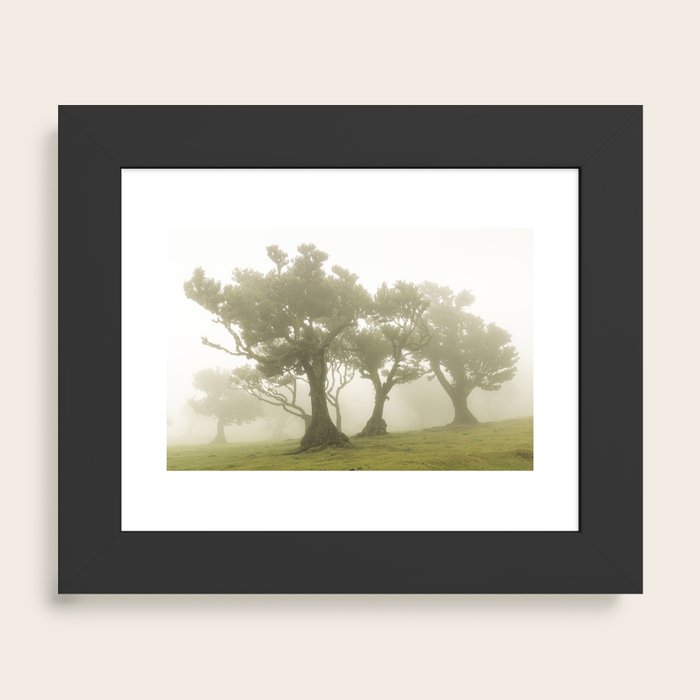 Framed Art Print