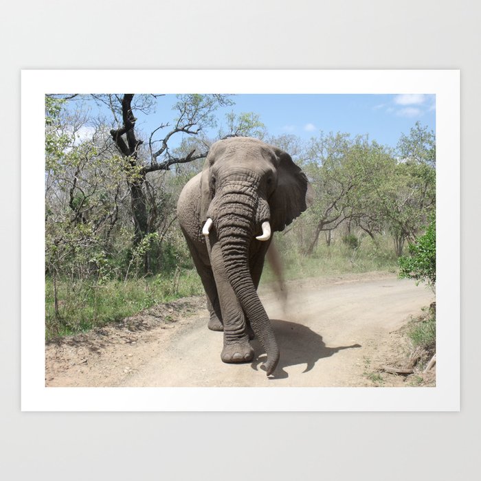 Elephants of Africa Art Print