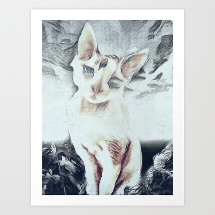 Cat In The Mist Art Print By Kandicecoxwrites Society6
