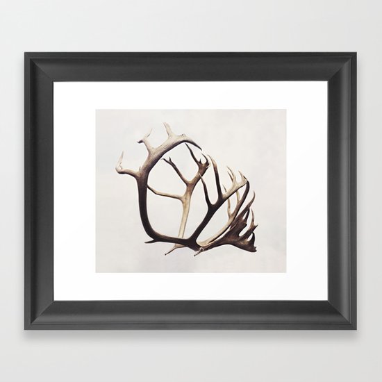 fig. 03 | antlers Framed Art Print