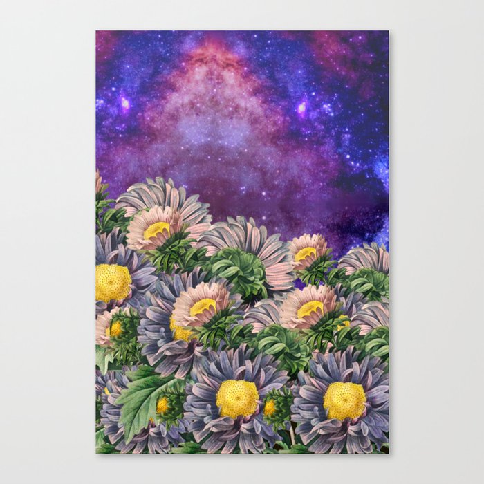 Flower landscape galaxy  Canvas Print