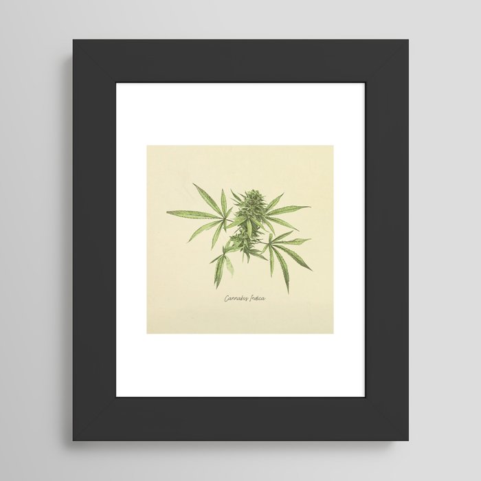 Framed Art Print