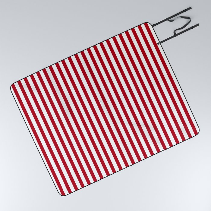 Lined sales picnic blanket