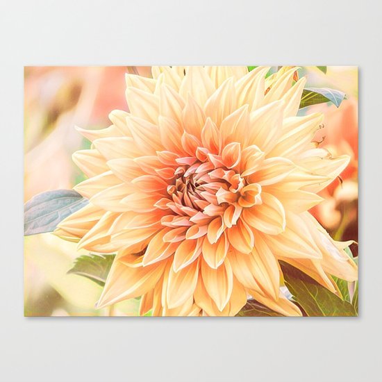 A Dalias Beauty Canvas Print