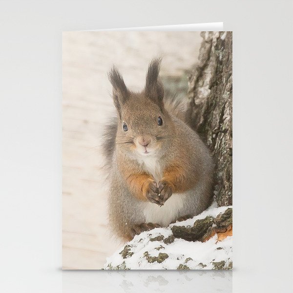 Hi there - what's up? #decor #society6 #buyart Stationery Cards