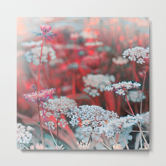 Wild flowers(3). Metal Print