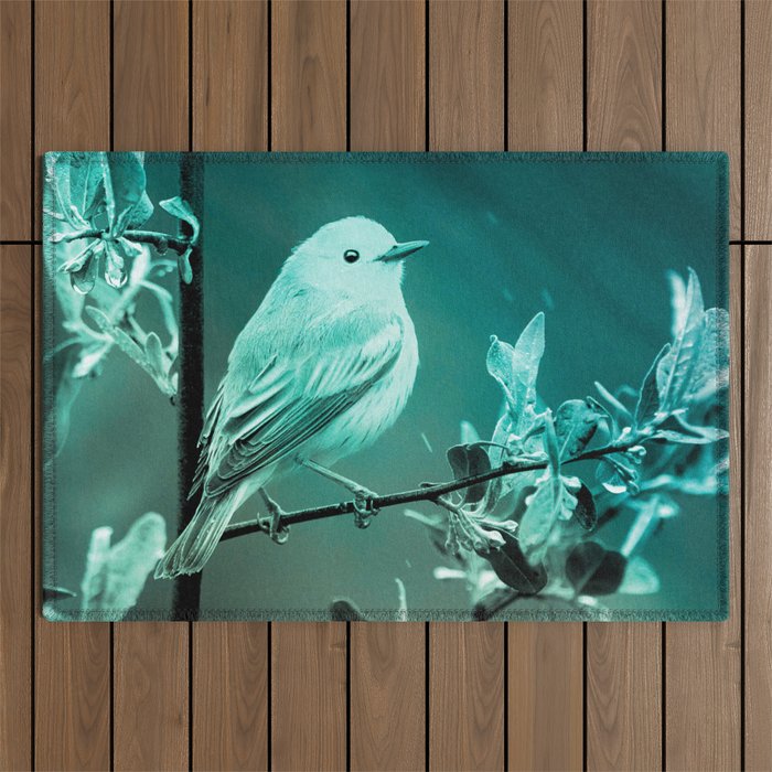 canary bird turquoise tinted aesthetic wildlife art altered photography Outdoor Rug