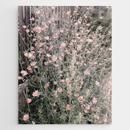 Vintage pink Chicory garden Jigsaw Puzzle