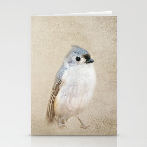 Bird Little Blue Stationery Cards