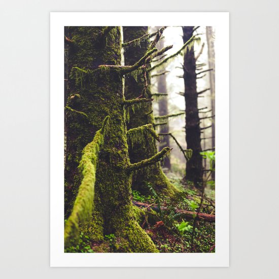 RainedForest Art Print