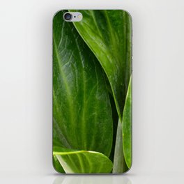 Anthurium Leaves Close Up Photography  iPhone Skin