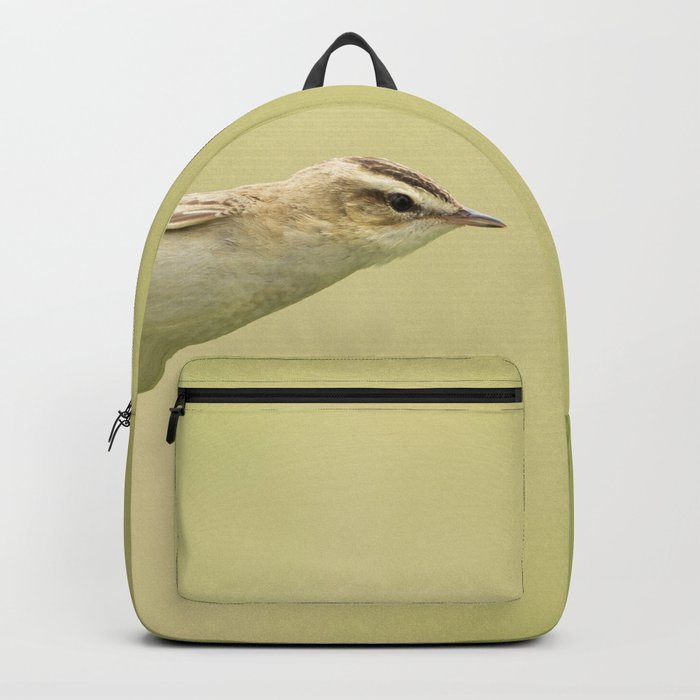 Sedge Warbler | Bird Photography Backpack