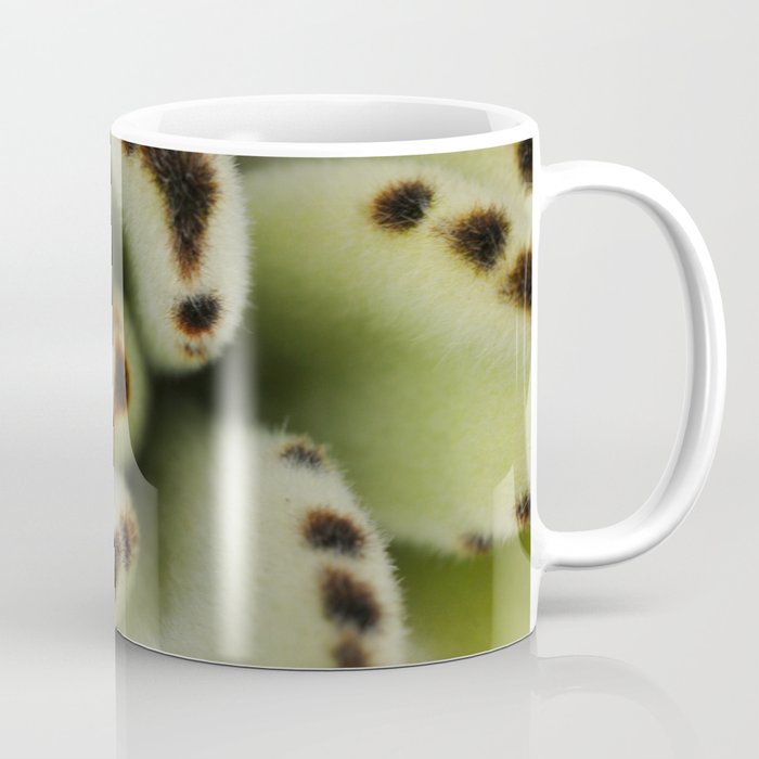 Green suculenta Coffee Mug