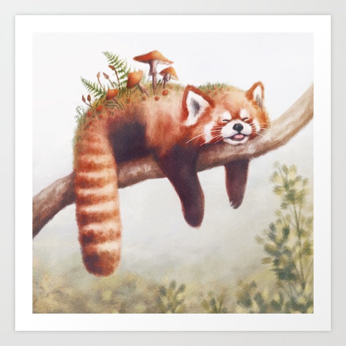 Sleepy Red Panda Art Print