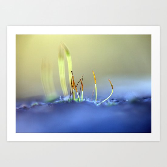 Capillary thread-moss 305 Art Print