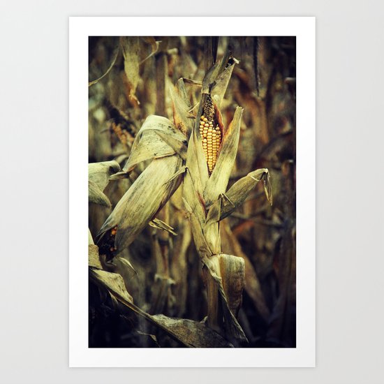 Corn Art Print