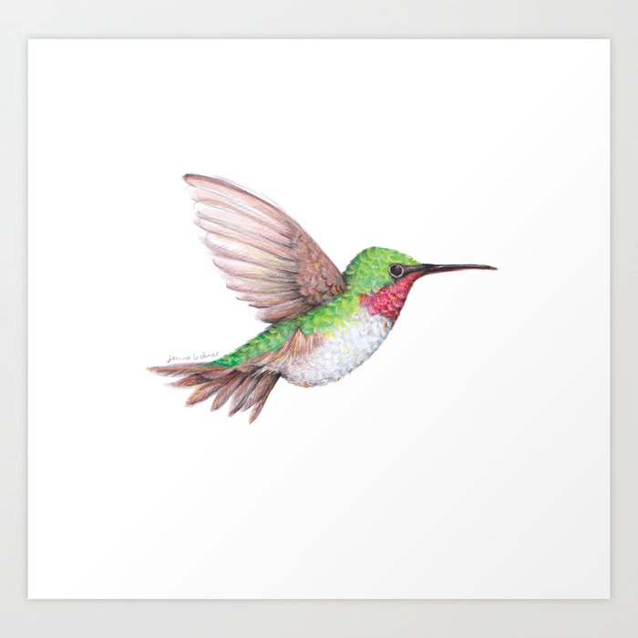 Ruby Throated Hummingbird Art Print