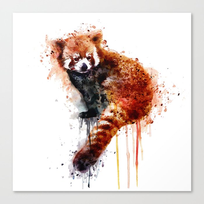 Red Panda Canvas Print