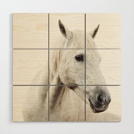 White Horse - Minimalist Nature Photography Wood Wall Art