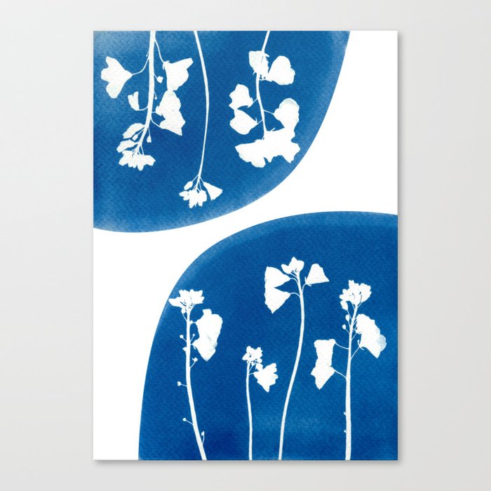 Cyanotype - Pressed flowers Canvas Print