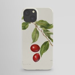 Plums (Prunus Domestica) (1896) by Deborah Griscom Passmore. iPhone Case
